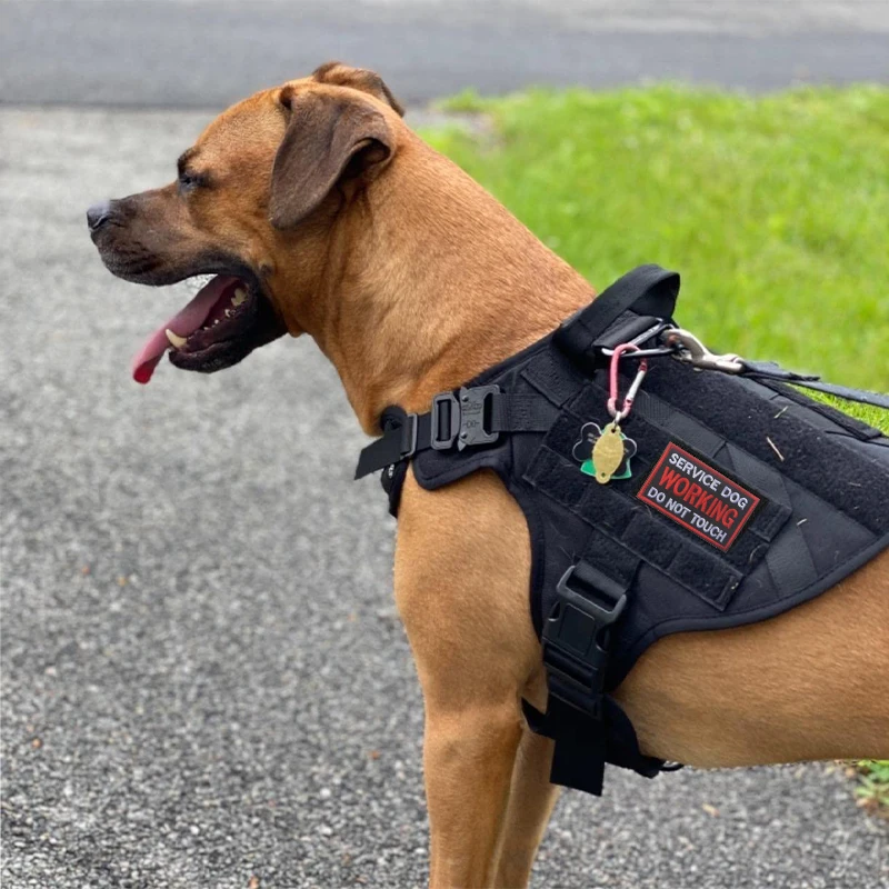Armáda Policajný Pes Vyšívané Nášivka Háčik Slučky služobného Psa Odznak Znak Nálepky Vojenskej Morálky Diamond Dogs Záplaty pre Postroj