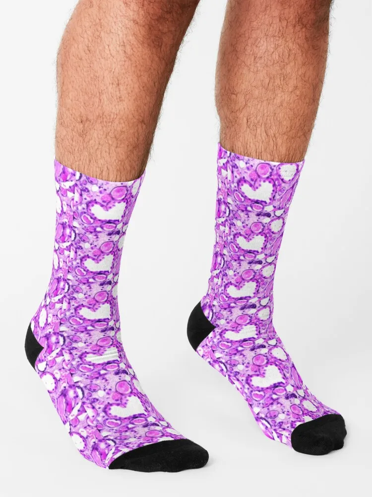 V tvare srdca obličiek tubule Ponožky zábavné mužov ponožky letné Termálne ponožky muž zimné darček pre muža